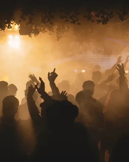 Late-night dancing in the mystical forest nightclub at Bloom Bristol