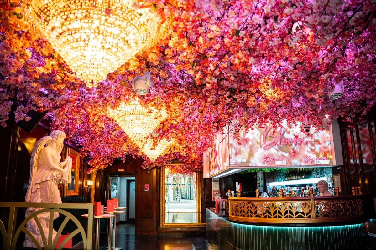 The Cocktail Bar under the cherry blossom ceiling and chandeliers at Bloom, Park Street, Bristol